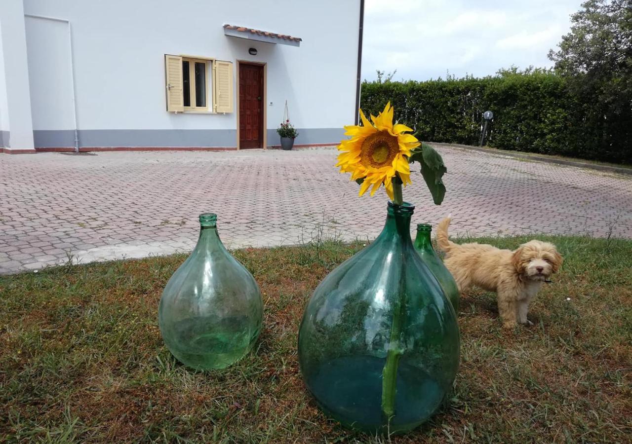 Casa Amrita, Yoga B&B Teramo Eksteriør billede